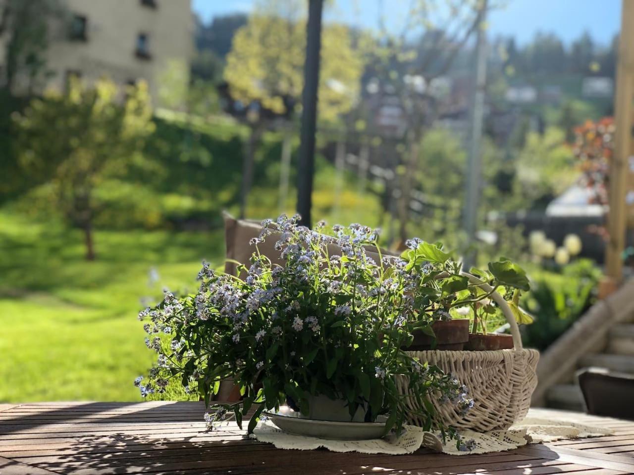 Dolomites Charme Chalet Colle Santa Lucia Exterior foto